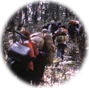 [Photo of Participants of the 1999 Forest Walk - walkng through the forest.]